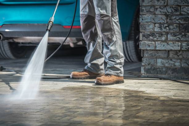 Best Soft Washing  in Sneads, FL